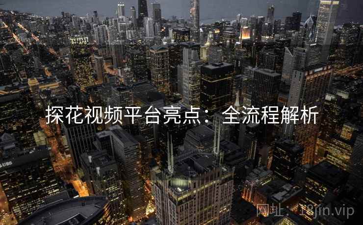 探花视频平台亮点：全流程解析