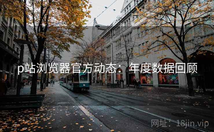 p站浏览器官方动态：年度数据回顾