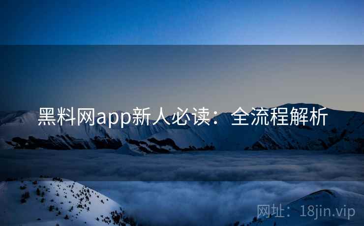 黑料网app新人必读：全流程解析