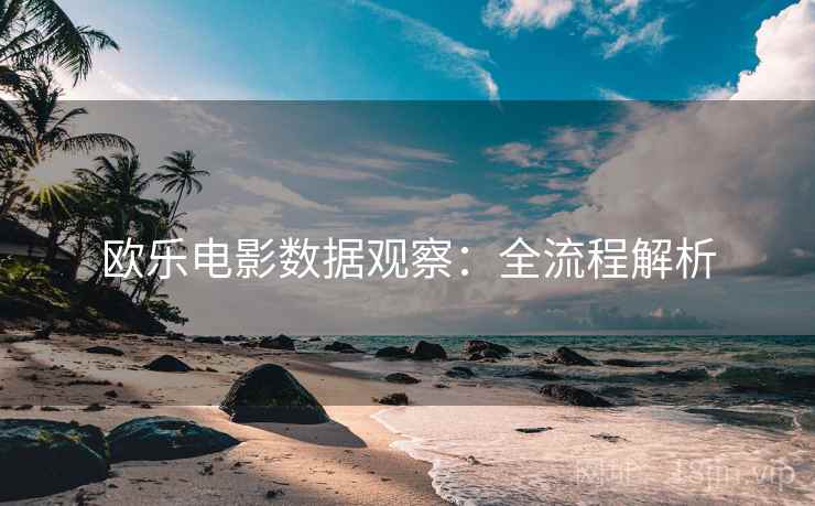 欧乐电影数据观察：全流程解析