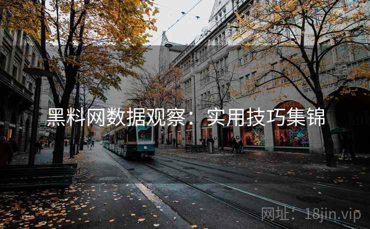 黑料网数据观察:实用技巧集锦